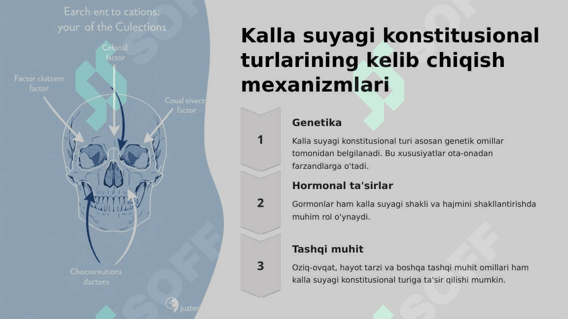 Kalla suyagi konstitusional turlari 7