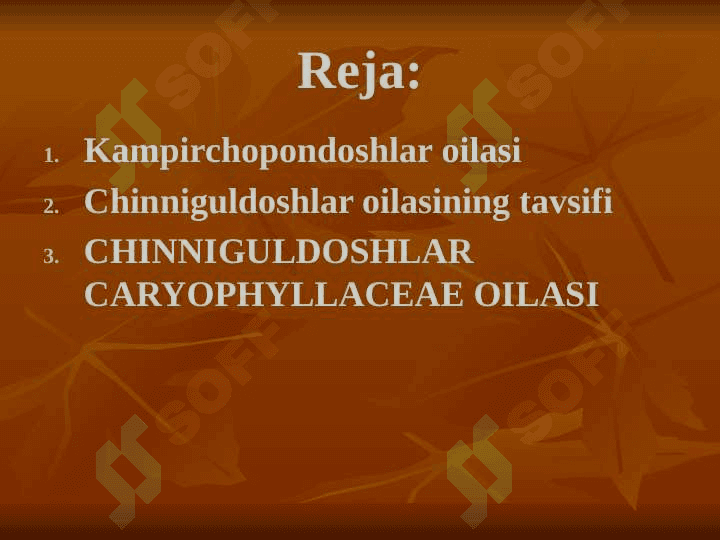Kampirchopondoshlar va chinniguldoshlar oilasining tavsifi, tasnifi va ahamiyati. 2