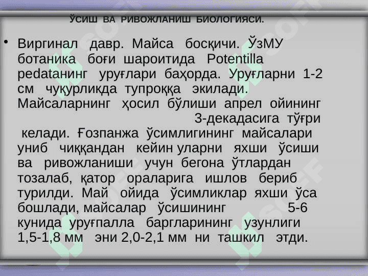 “Potentilla  pedata  ўсимлигининг  биологиясини   ўрганиш” 5