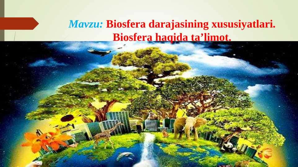 Biosfera darajasining xususiyatlari. Biosfera haqida ta’limot