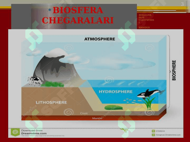 BIOSFERA CHEGARALARI 3