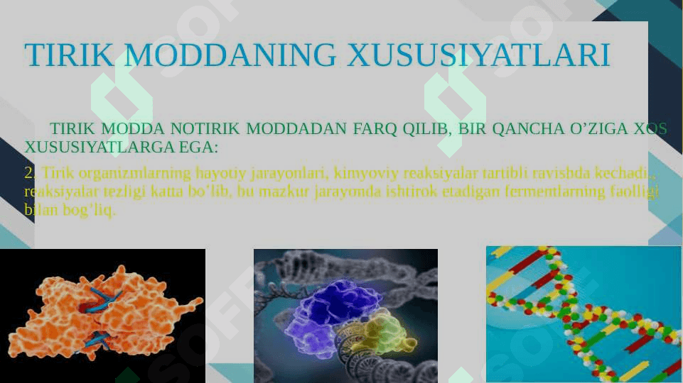 BIOSFERADAGI TIRIK MODDANING XUSUSIYATLARI VA FUNKSIYALARI 7
