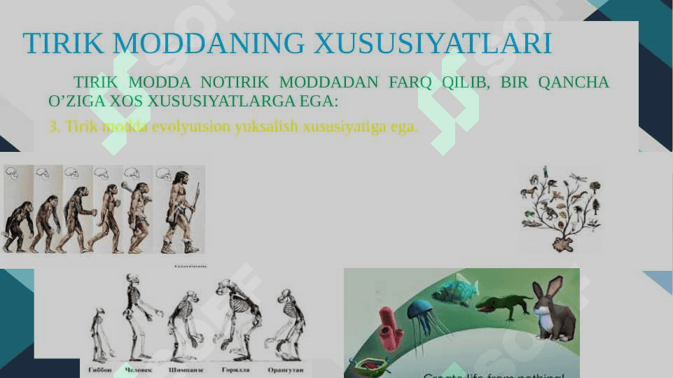 BIOSFERADAGI TIRIK MODDANING XUSUSIYATLARI VA FUNKSIYALARI 8