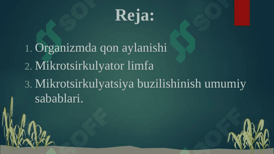 REGIONAR MIKROTSIRKULYATSIYANING BUZILISHLARI 2