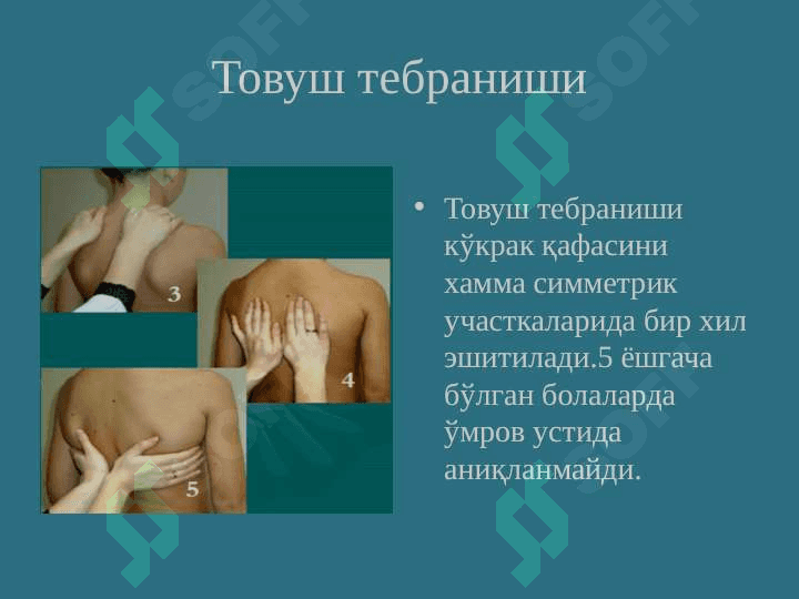 Пастки нафас йўлларини текшириш усуллари... .pptx 7