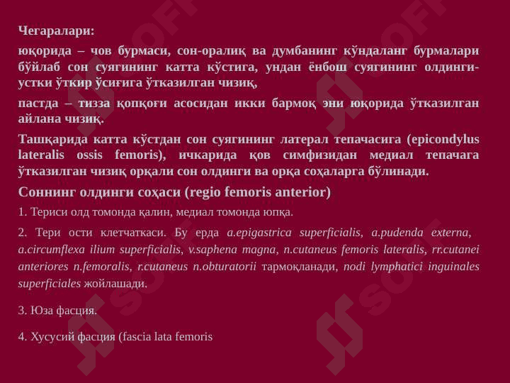 ОЁҚНИНГ ТОПОГРАФИК АНАТОМИЯСИ 6
