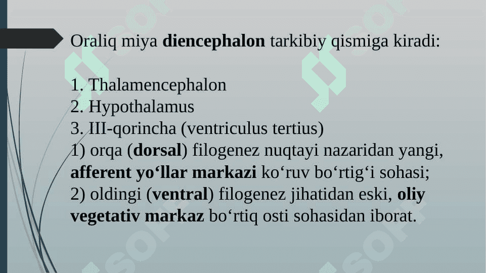 Oraliq miya, III-qorincha. 2