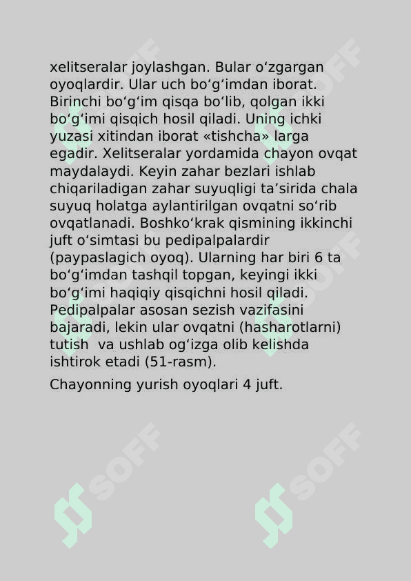 Bo’g’imoyoqlilarning keng tarqalish sabablari 6