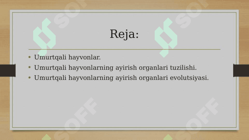 Umurtqali hayvonlarning ayirish organlarining tuzilishi va evolutsiyasi. 2