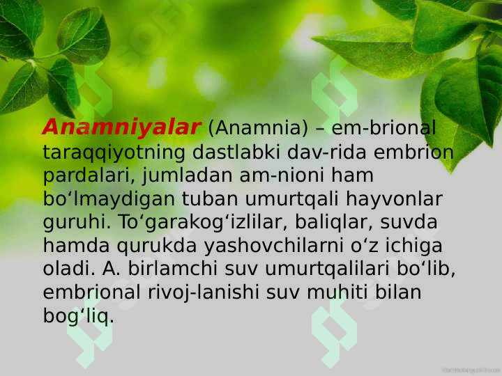 Anamniya va amniotlarning morfologik, fiziologik belgilari: rivojlanishi, tuxumining tuzilishi, murtak qobig'ining hosil bo'lishi 3