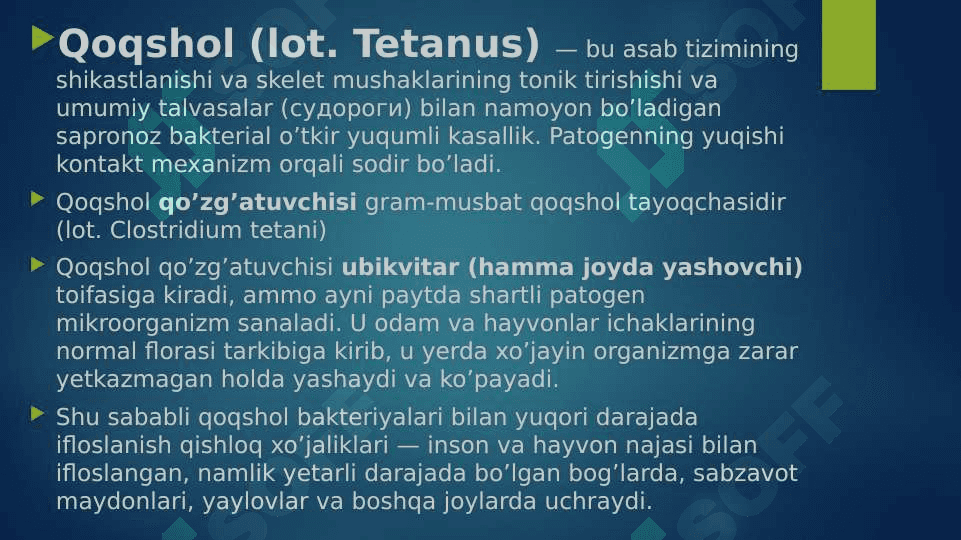 Qoqshol 2