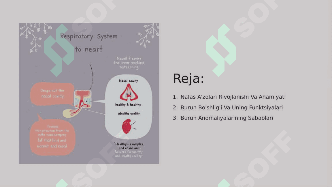 Nafas a'zolari taraqqiyoti. Burun anomaliyalari 2