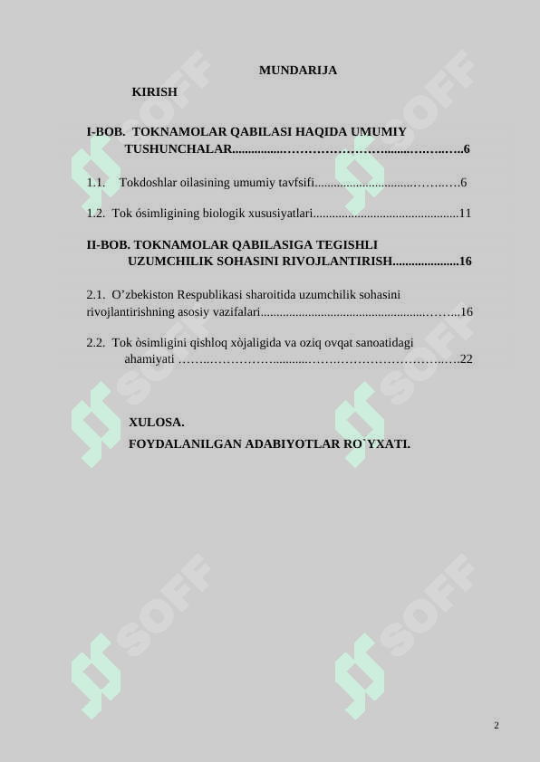 Toknamolar qabilasi  KURS ISHI   tayyor 2