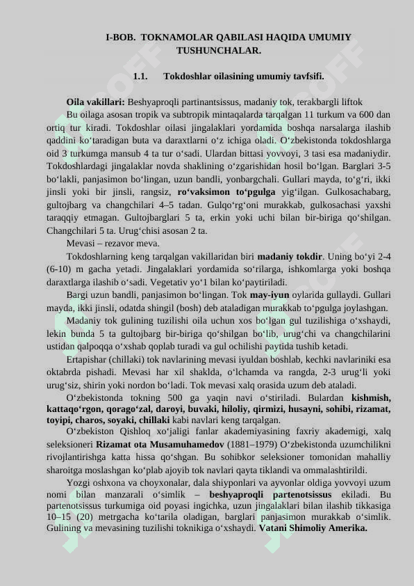 Toknamolar qabilasi  KURS ISHI   tayyor 6