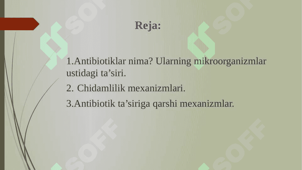 Bakteriyalarning antibiotiklarga chidamli shakllarini paydo bo’lish mexanizmlari. 2