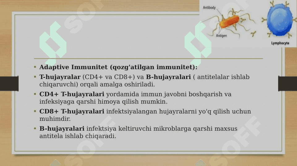 Immuntanqisliklarda opportunistik infeksiyalar kelib chiqishining molekulyar mexanizmi 7