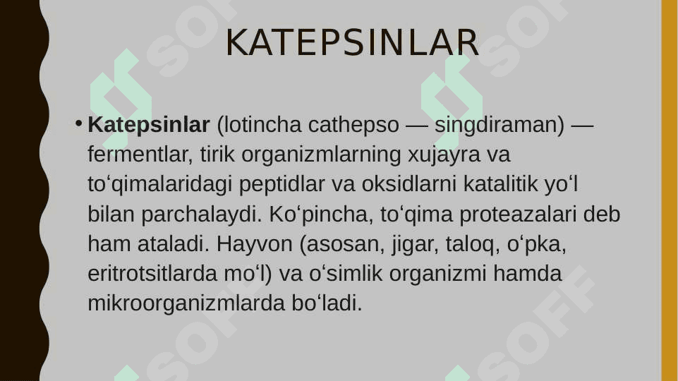 katepsinlar, ularning klinik ahamiyati 2