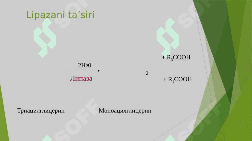 Qandli diabet va ochlikda ketonuriya va ketonemiya 5