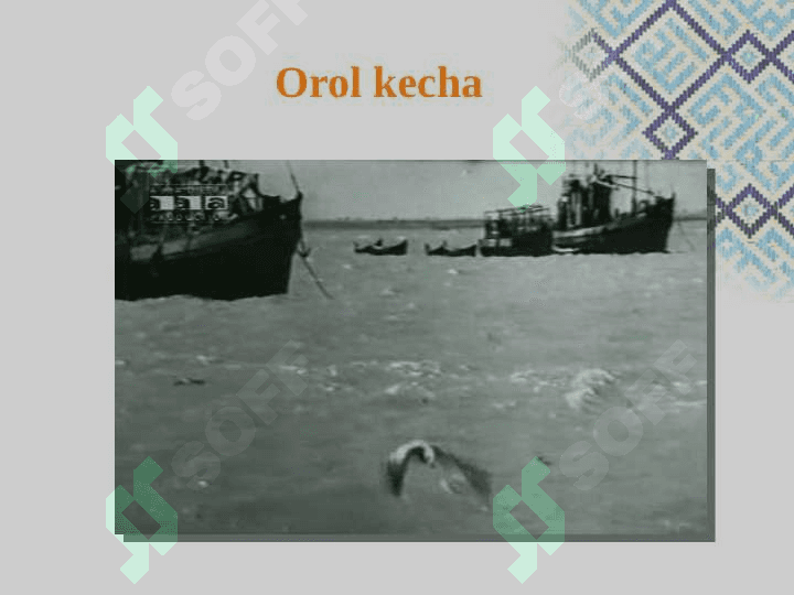 Orol fojiasi 7