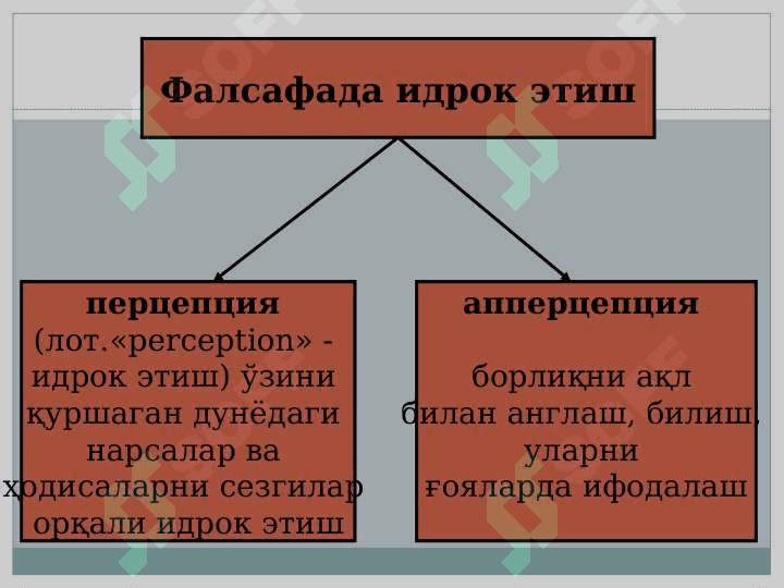 БИЛИШНИНГ МАЗМУН ВА МОҲИЯТИ 5