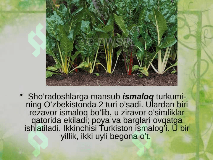 Sho’radoshlar oilasi 5