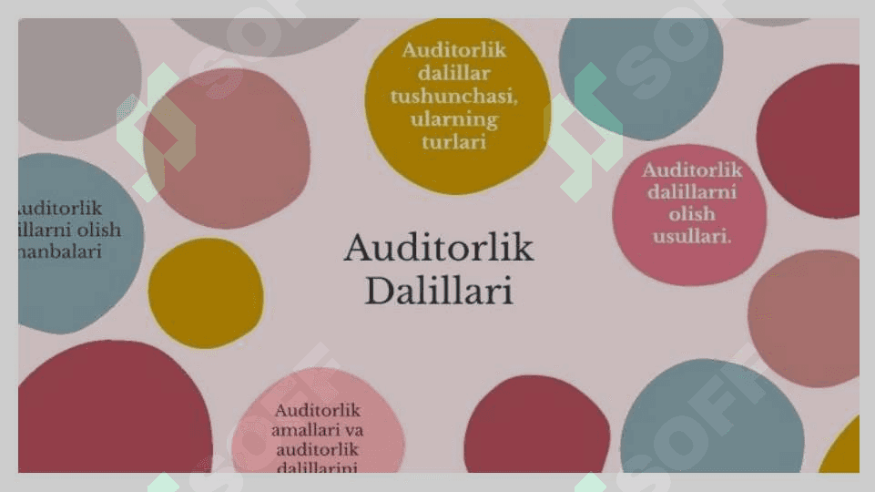 Auditorlik dalillarni olish manbalari 4