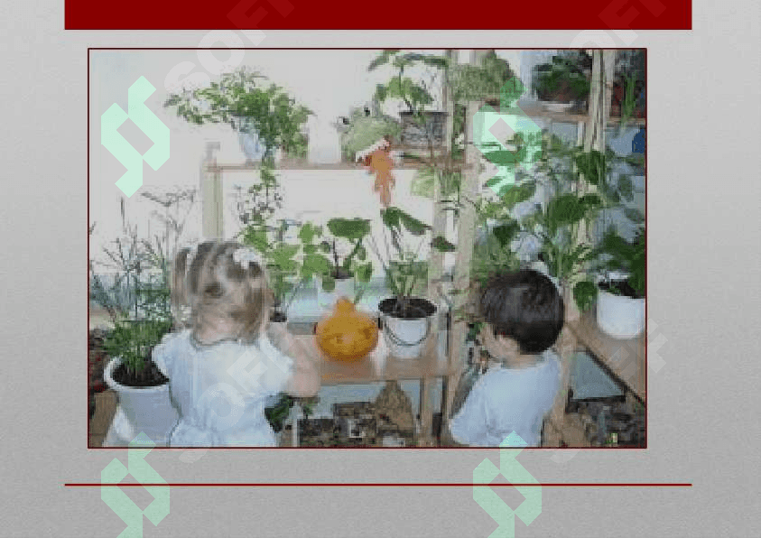 MAKTABGACHA TA'LIM TASHKILOTLARIDA TABIATBURCHAGINI  TASHKIL ETISH 2