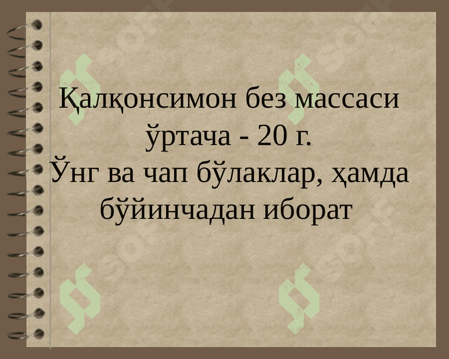 KO’RUV A’ZOSINI ENDEMIK SISTEMASI KASALIKLARI 3