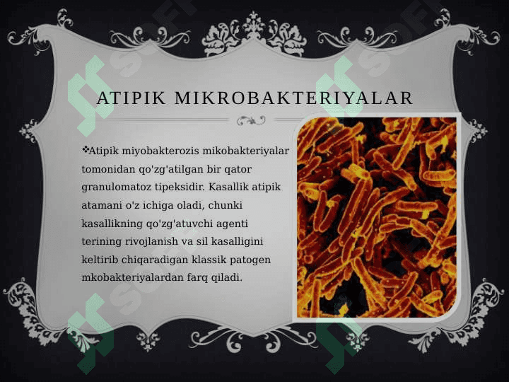 Atipik mikrobakteriyalar va ularni amaliyotdagi  ahamiyati. Atipik mikobkteriyalar va ularning ahamiyati. 2