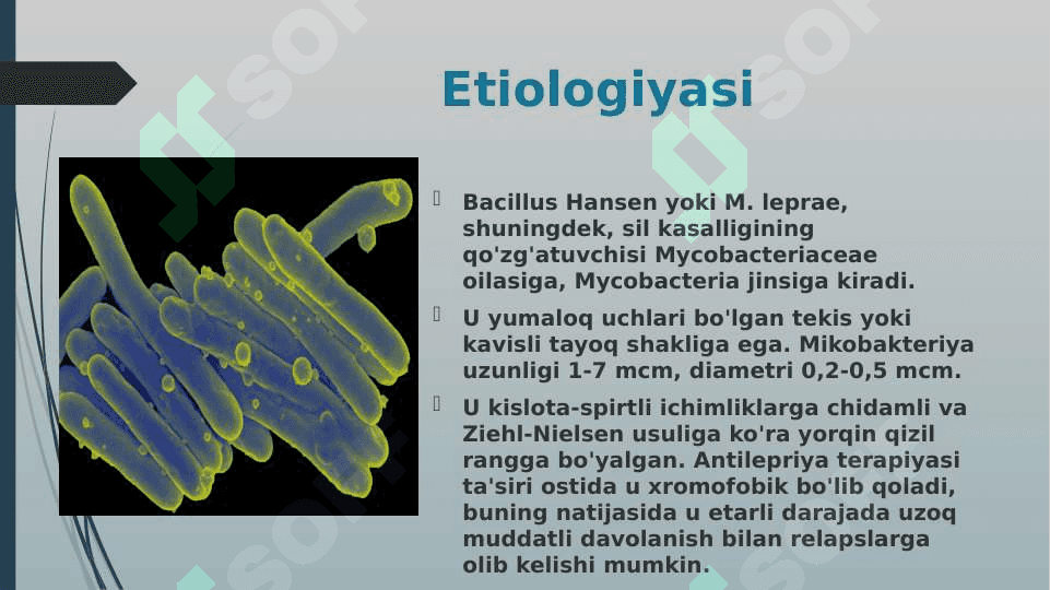 Moxov lerpa ppt 4