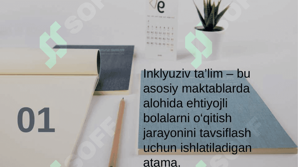 Alohida yordamga muhtoj shaxslarni inklyuziv ta'lim konsepsiyasining mohiyati va asosiy qoidalari 2