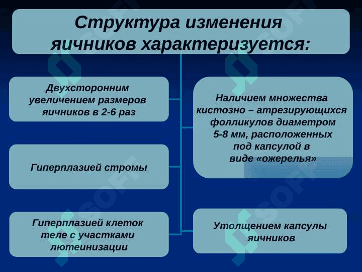 Neyroendokrin sindromi (rus) ppt 5