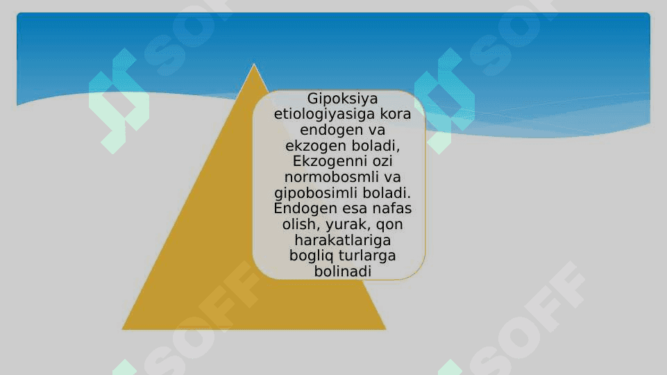 Gipoksiya ppt 2