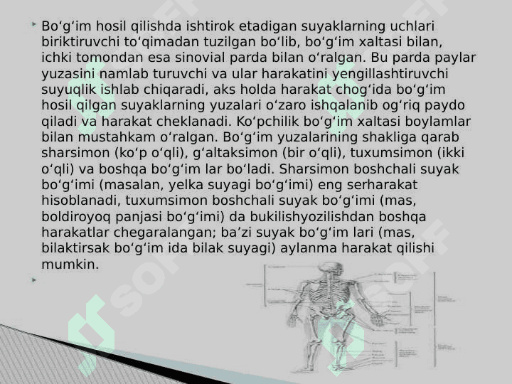 Bo’g’imlarning biomexanikasi.Birlashmalarning rentgenanatomiyasi 3