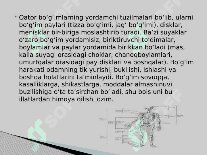 Bo’g’imlarning biomexanikasi.Birlashmalarning rentgenanatomiyasi 4