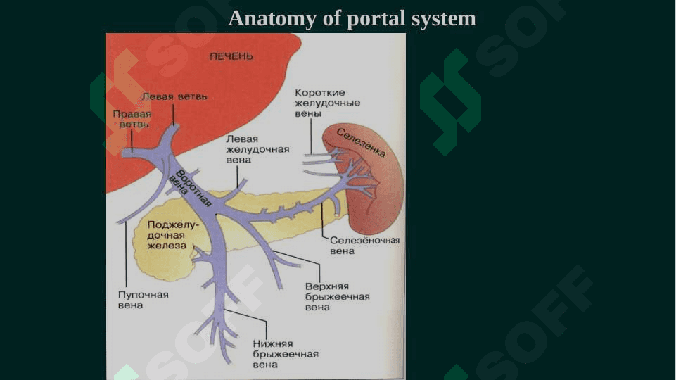 Portal gipertenziya ppt 4