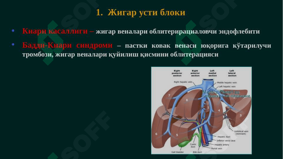 Portal gipertenziya ppt 8