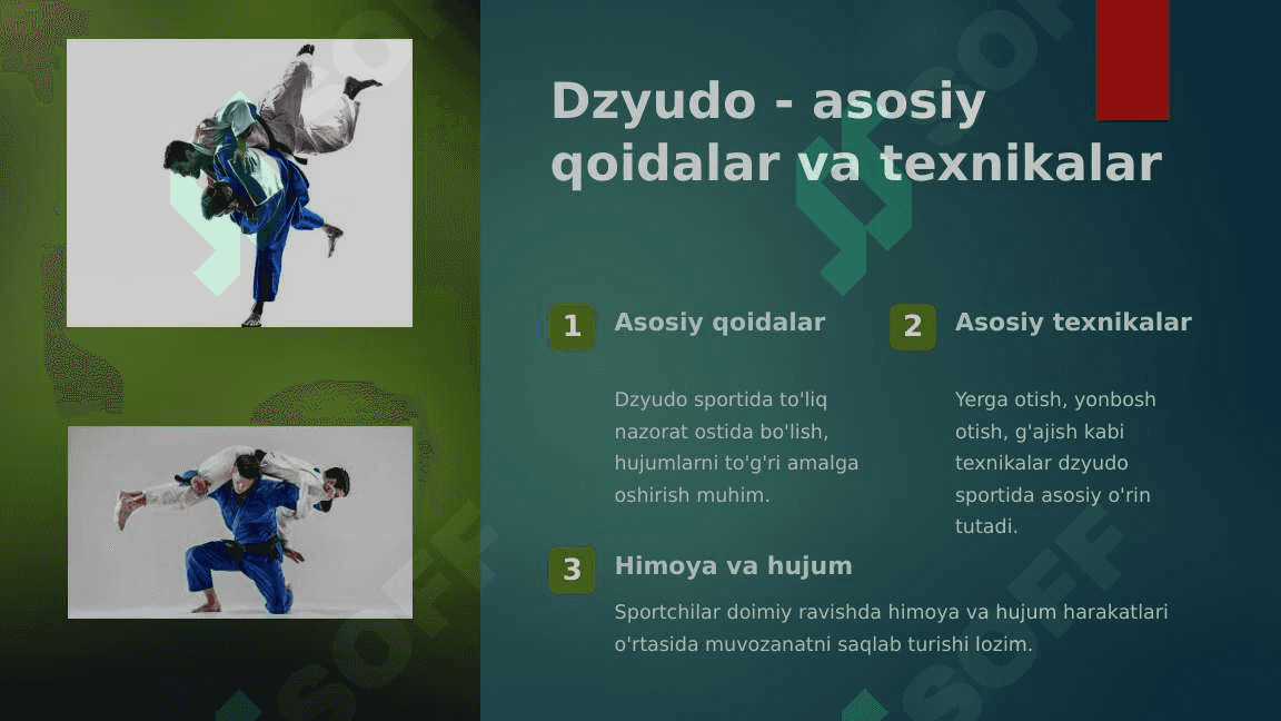 Dzyudo bo'yicha musobaqalar o'tkazish 3
