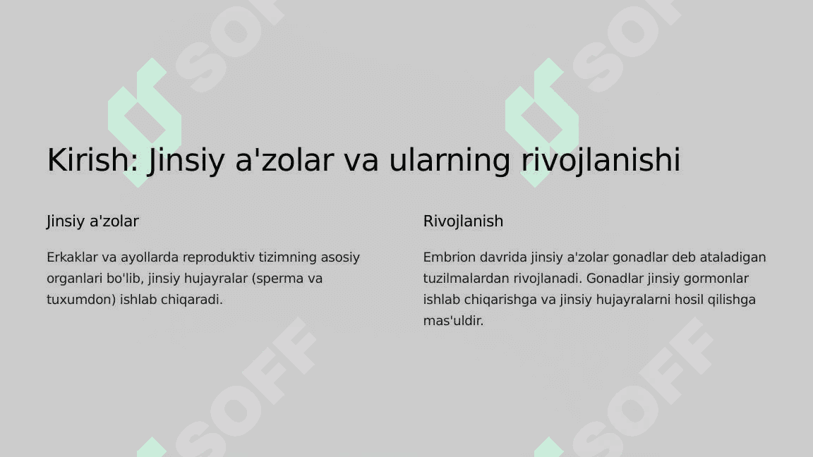 Jinsiy a'zolarining taraqqiyoti, anomaliyalari 3