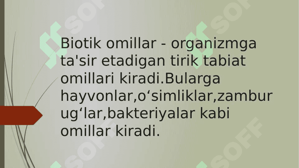 O‘simliklarga tuproq sho‘rlanishining ta'siri 6