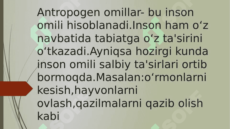 O‘simliklarga tuproq sho‘rlanishining ta'siri 8