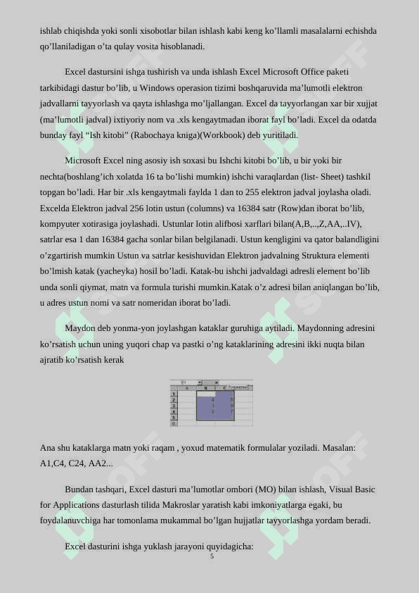 MS Excel dasturi. 5