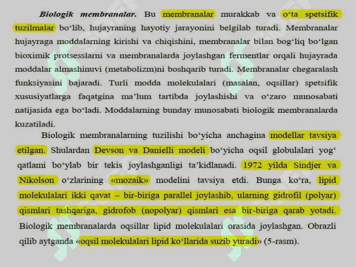 Sitoplazmatik membrananing tarkibi, tuzilishi va xususiyatlari.  Hujayra biologiyasini o’rganishda qo’llaniladigan usullar. Hujayra tiplari 3
