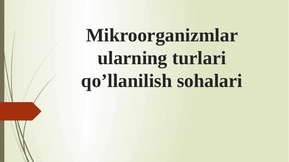 Mikroorganizmlar ularning turlari qoʼllanilish sohalari
