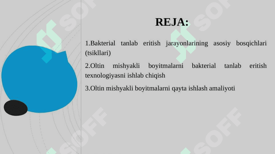 Murakkab oltin-mishyakli boyitmalarni chanlarda bakterial tanlab eritish texnologiyasi 2