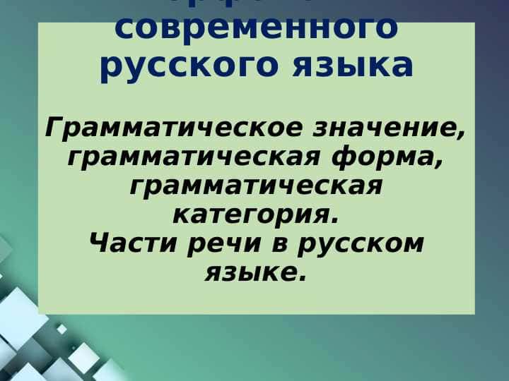 Морфология современного русского языка