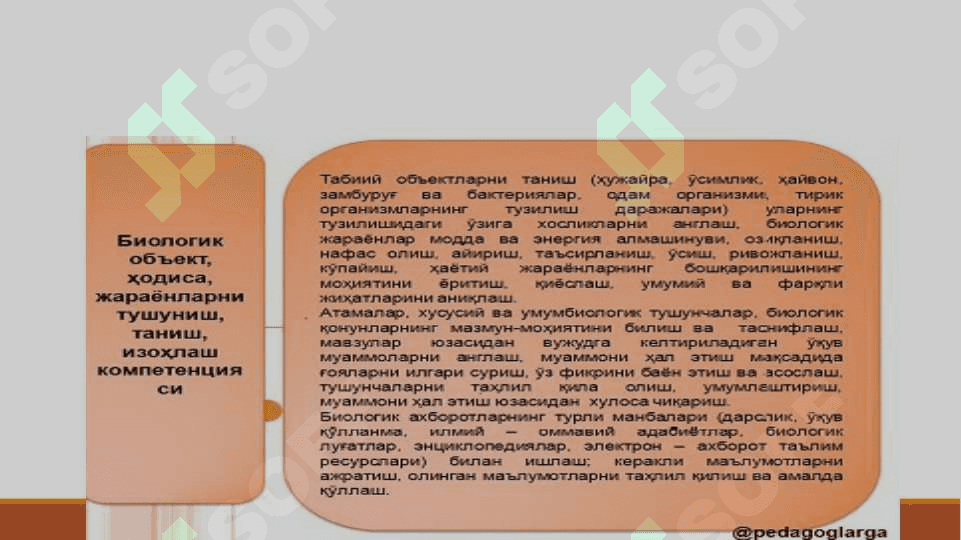 NAFAS OLISH SISTEMASI 8