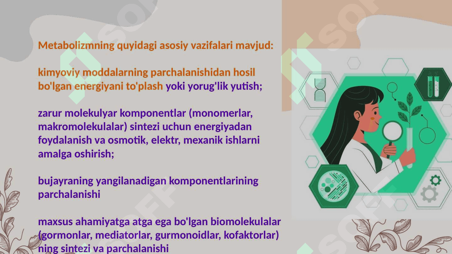 Katabolizm va anabolizm. Uning normal va patalogik holatlardagi oʻzgarishlari 3