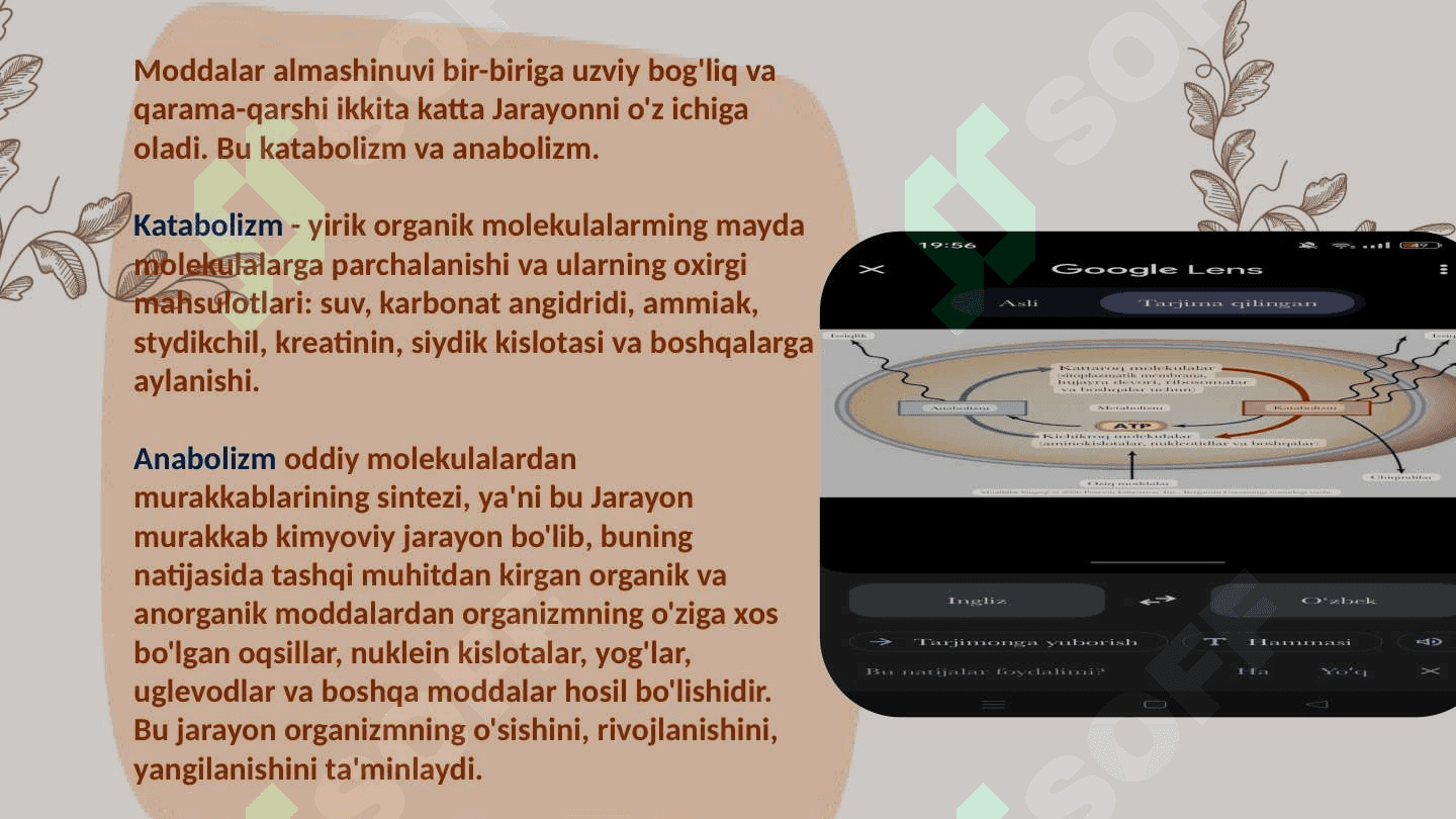 Katabolizm va anabolizm. Uning normal va patalogik holatlardagi oʻzgarishlari 4