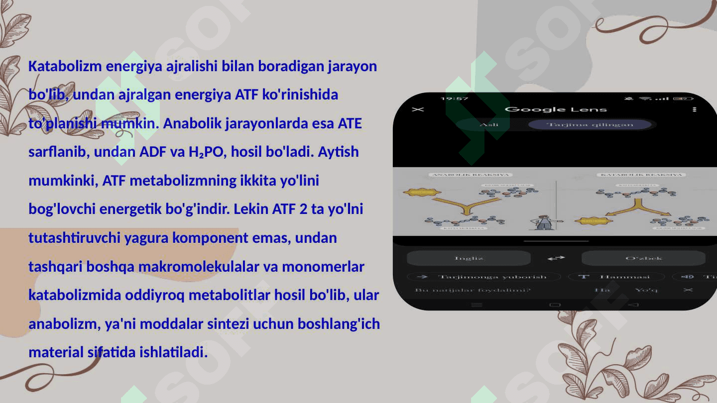 Katabolizm va anabolizm. Uning normal va patalogik holatlardagi oʻzgarishlari 5